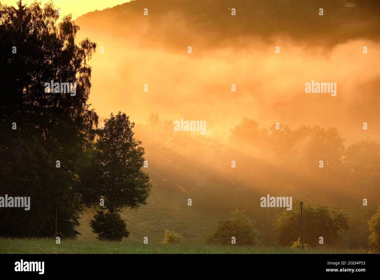 Beautiful rural summer landscape with agricultural fields and trees during sunset. Seen in Germany in the Rhön Mountains in summer Stock Photo