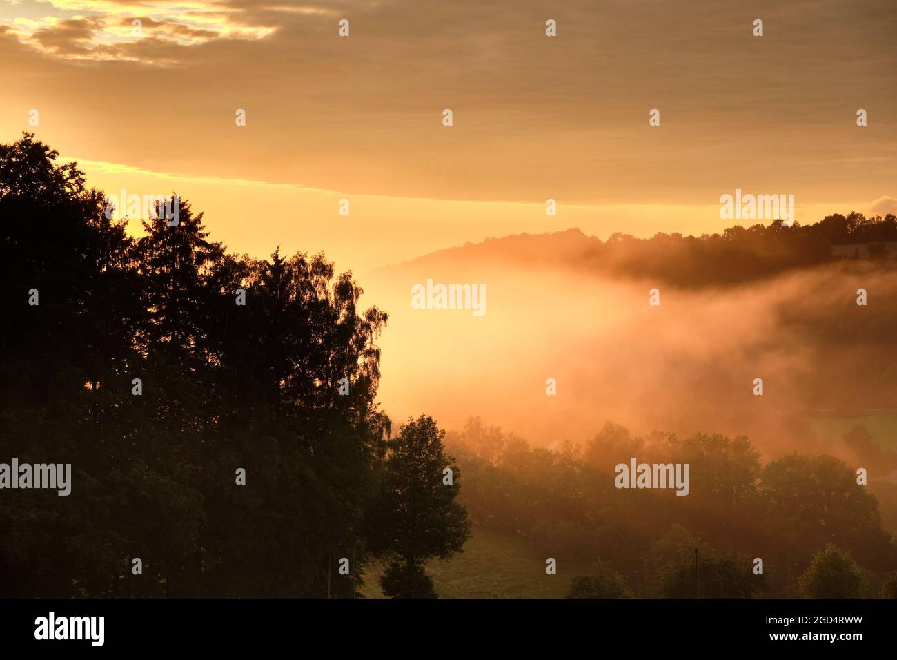 Beautiful rural summer landscape with trees, fog and a hill during sunset. Seen in Germany in the Rhön Mountains near Gersfeld in summer Stock Photo