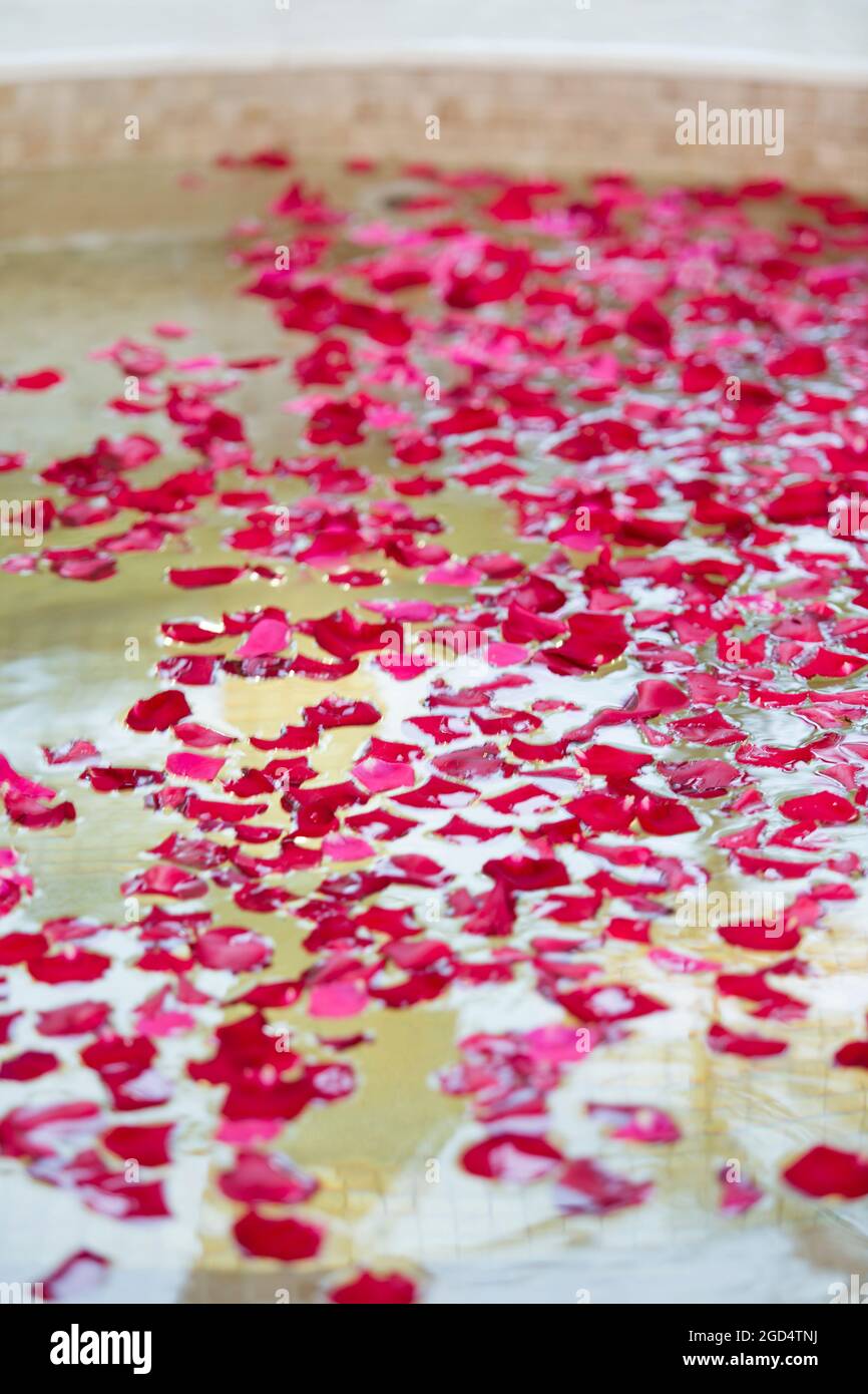 Rose petals floating in hot tub Stock Photo Alamy