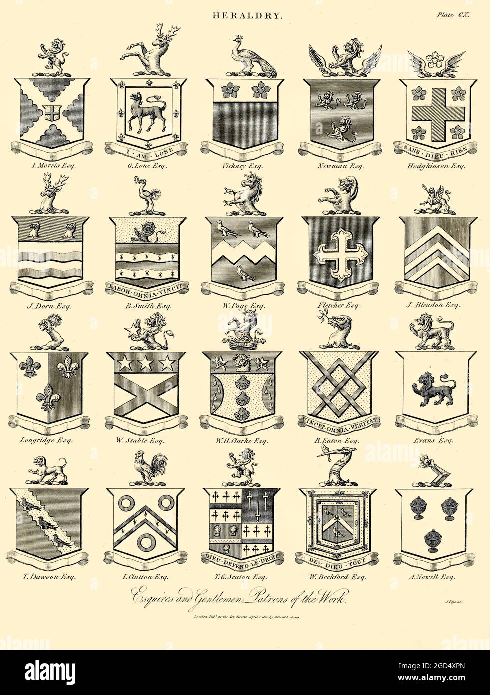 Esquires and Gentlemen Heraldry is a discipline relating to the design, display and study of armorial bearings (known as armory), as well as related disciplines, such as vexillology, together with the study of ceremony, rank and pedigree. Armory, the best-known branch of heraldry, concerns the design and transmission of the heraldic achievement. The achievement, or armorial bearings usually includes a coat of arms on a shield, helmet and crest, together with any accompanying devices, such as supporters, badges, heraldic banners and mottoes. Copperplate engraving From the Encyclopaedia Londinen Stock Photo