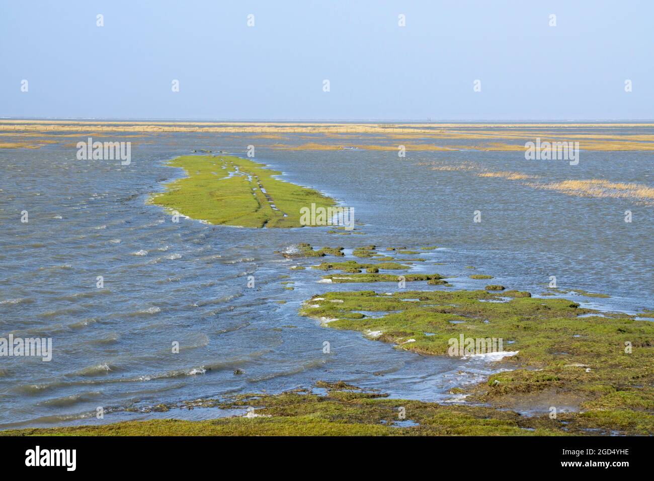 geography / travel, Germany, Schleswig-Holstein, Westerhever, National Park mud flats, ADDITIONAL-RIGHTS-CLEARANCE-INFO-NOT-AVAILABLE Stock Photo