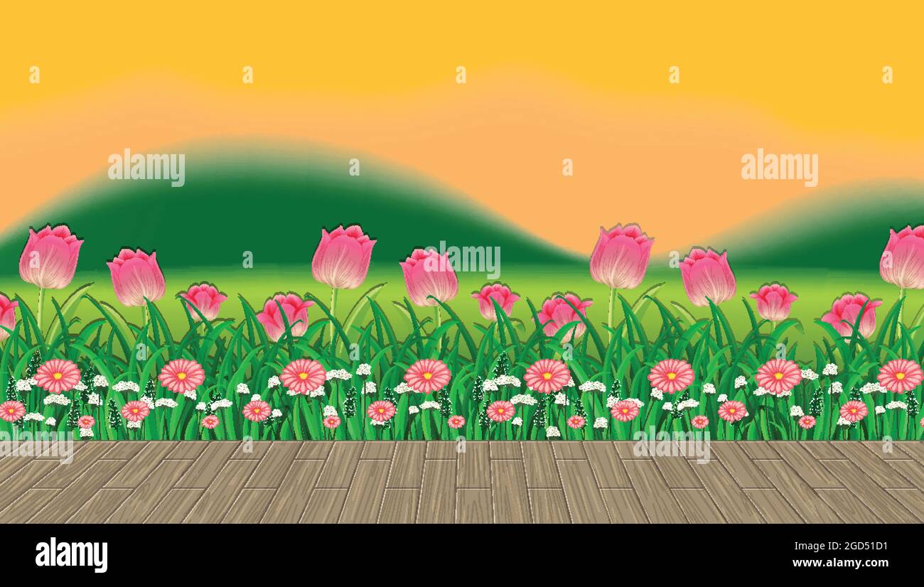 Flower field and green grass with mountain backdrop at sunset time ...
