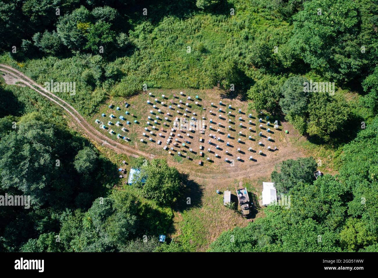 Top view of a bee apiary in the summer in the forest. Stock Photo