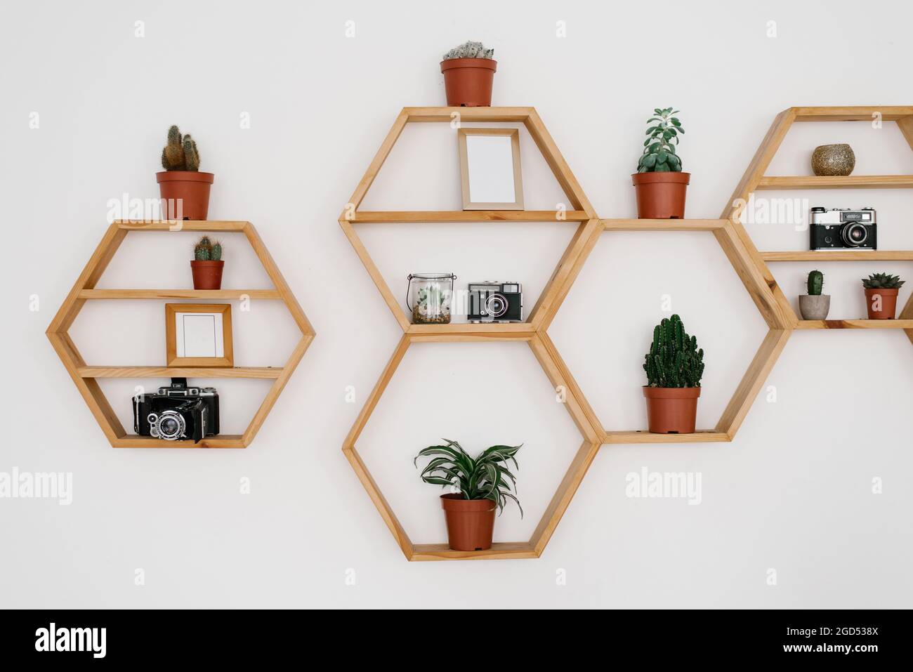 Wooden hexagon shelf on the light wall. Potted Houseplants, photo