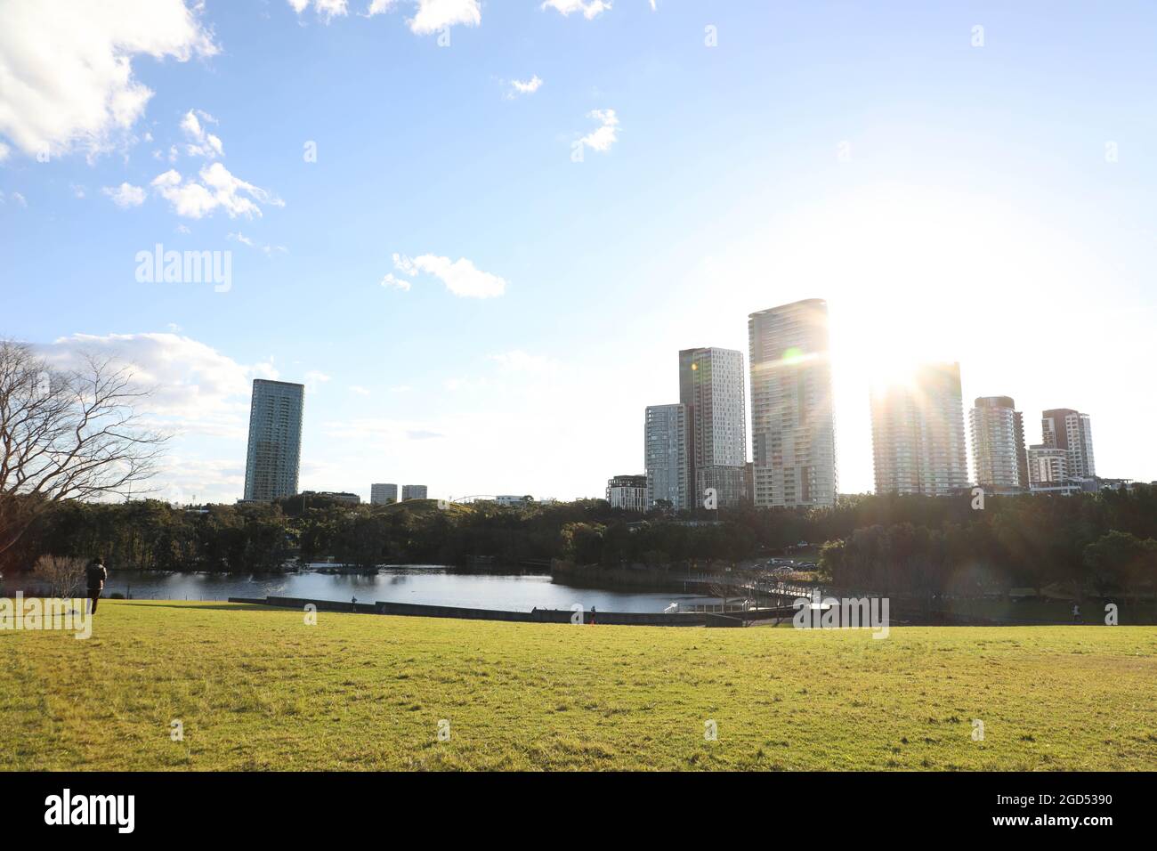 Bicentennial Park, Sydney Olympic Park. Stock Photo