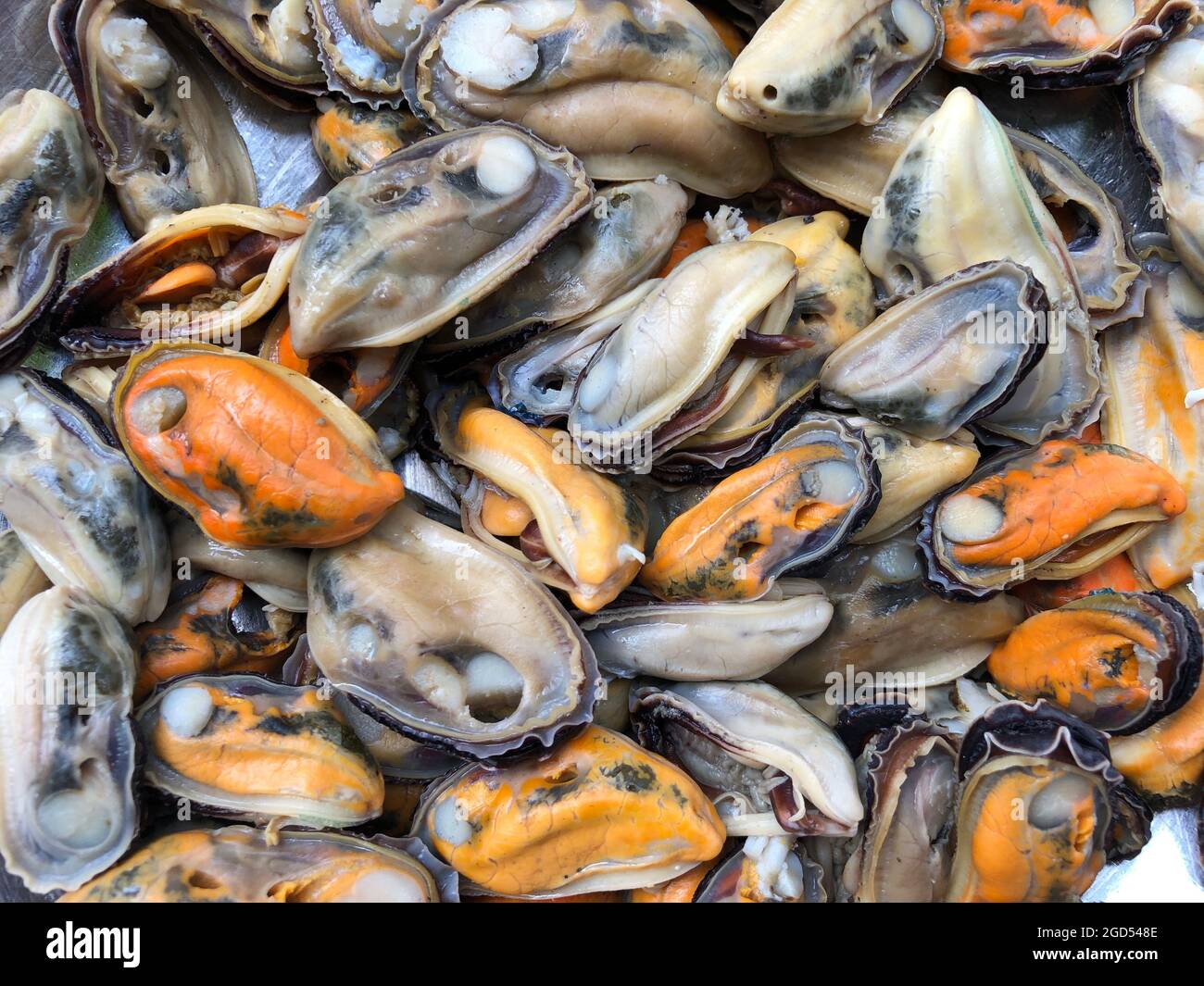Closeup view of fresh frozen mussel meat Stock Photo Alamy