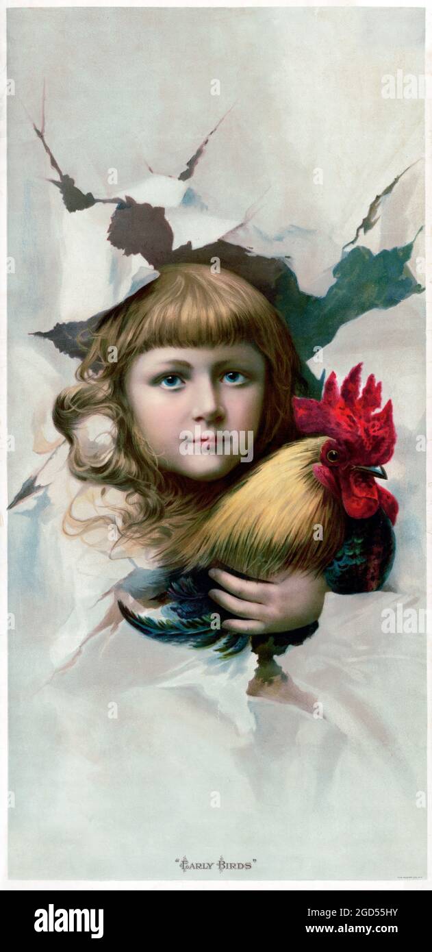 Vintage poster suitable for an Easter advertisement. 'Early birds' feat. a girl with a rooster pop out of a paper wall. New York 1892. Artist unknown. Stock Photo