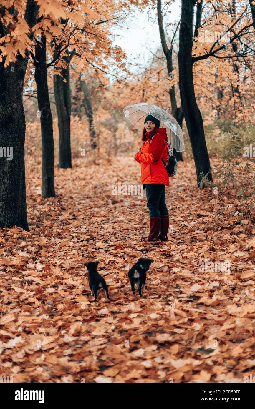 Hiking with the dog, A young girl in sports uniform walks with two puppies in the mountains in the autumn forest Stock Photo
