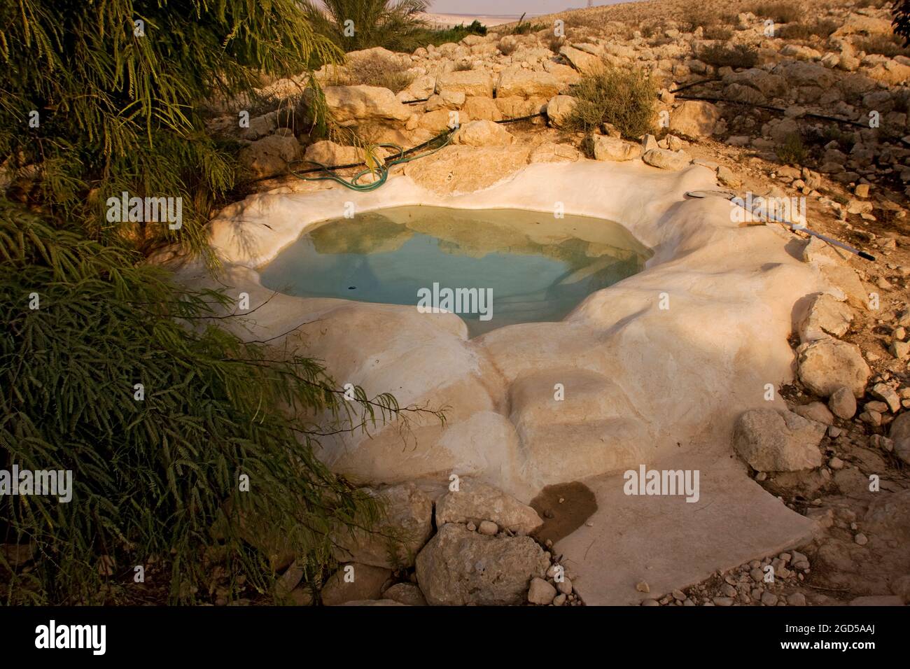 Solitary farm in the Negev Desert, Israel Stock Photo Alamy