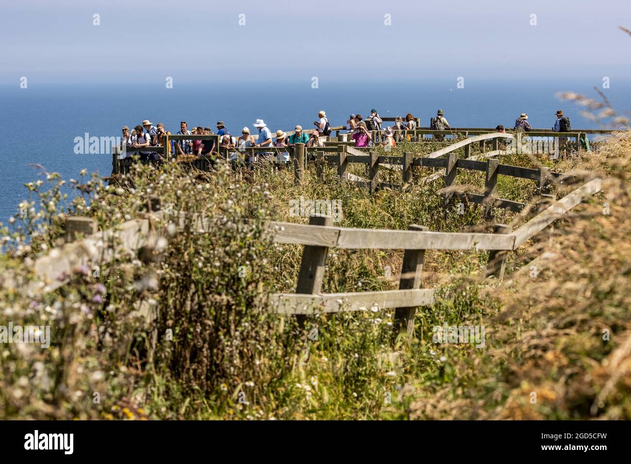 Bempton Cliffs, Yorkshire, UK: pathway to crowded observation platform Stock Photo