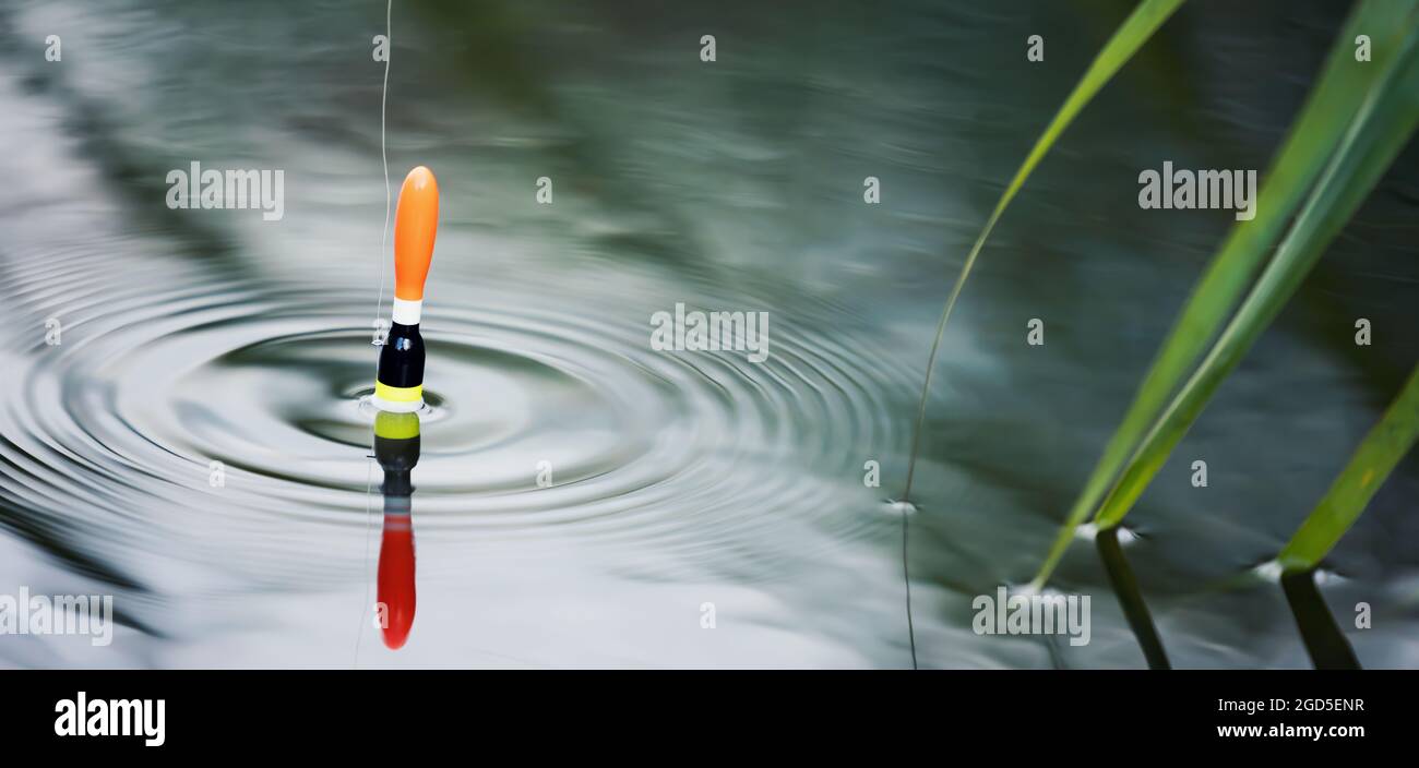 fishing float floating in the pond water. copy space Stock Photo