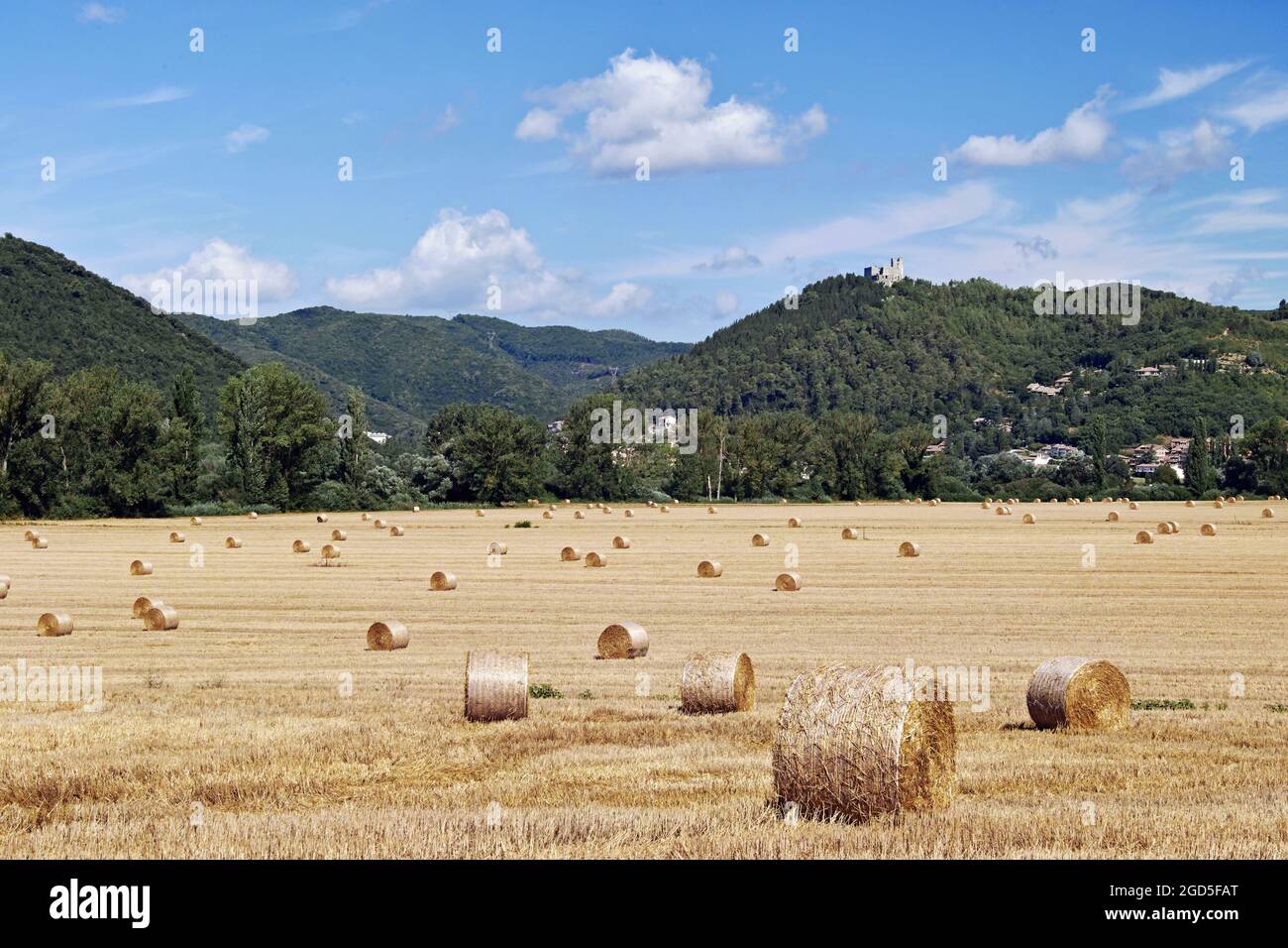 Hay rolls in fields hi-res stock photography and images - Alamy