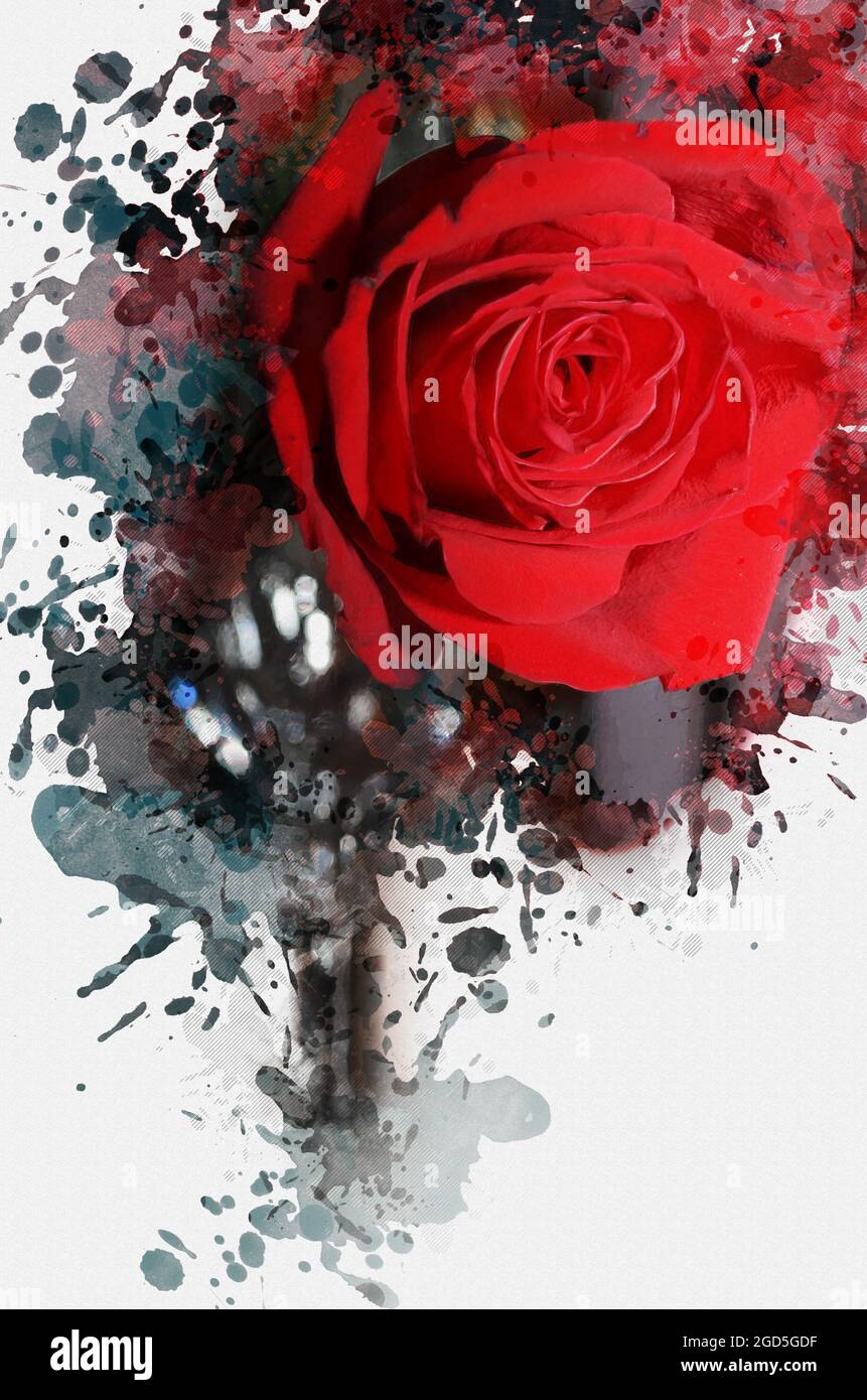 Close-up of a red rose. A beautiful flower against multicolored ...