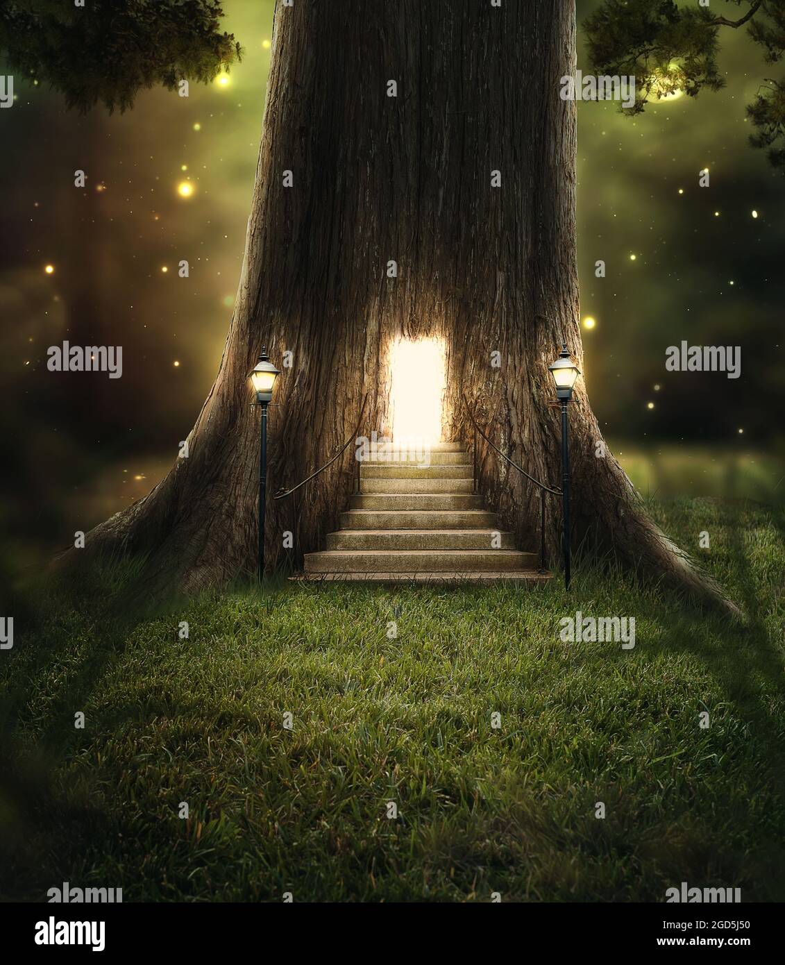 A tree in the forest with a door glowing with bright lights Stock Photo ...