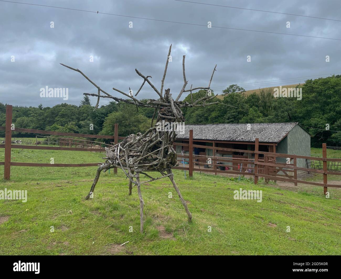 Brushwood Collected in the Countryside and Turned into a Hand Made Model of a Stag Deer in Front of Stables in a Field on a farm in Rural Devon Stock Photo