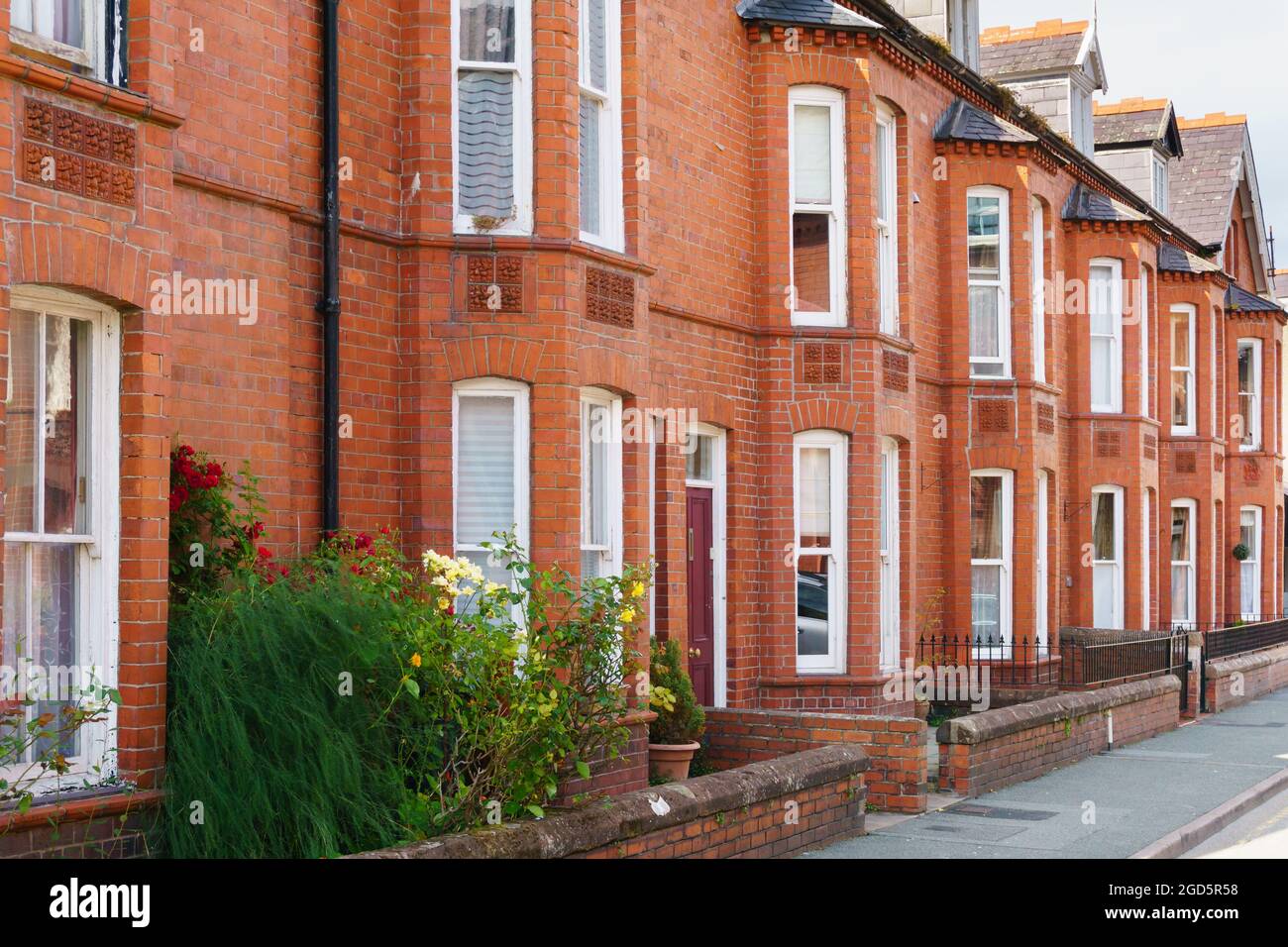 Typical red brick Victorian style terraced residential housing with bay windows and small front gardens opening on to a street in the United Kingdom Stock Photo