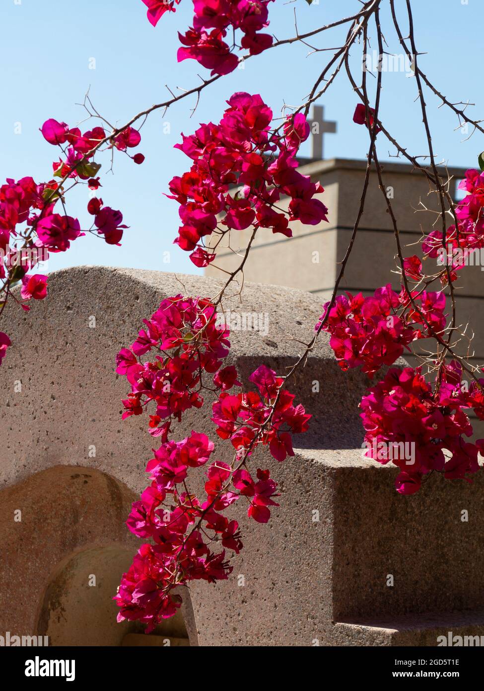 The European Cemetery, Marrakech, Morocco Stock Photo