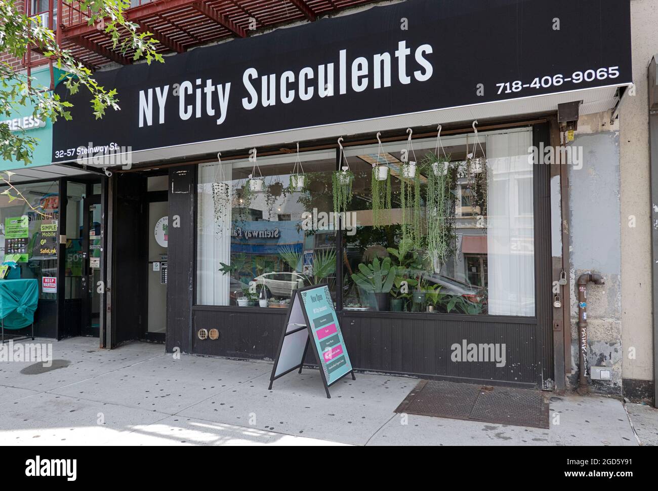 The exterior of NY City Succulents, a plant store specializing in succulent arrangements.  On Steinway St in Astoria, Queens, NYC. Stock Photo