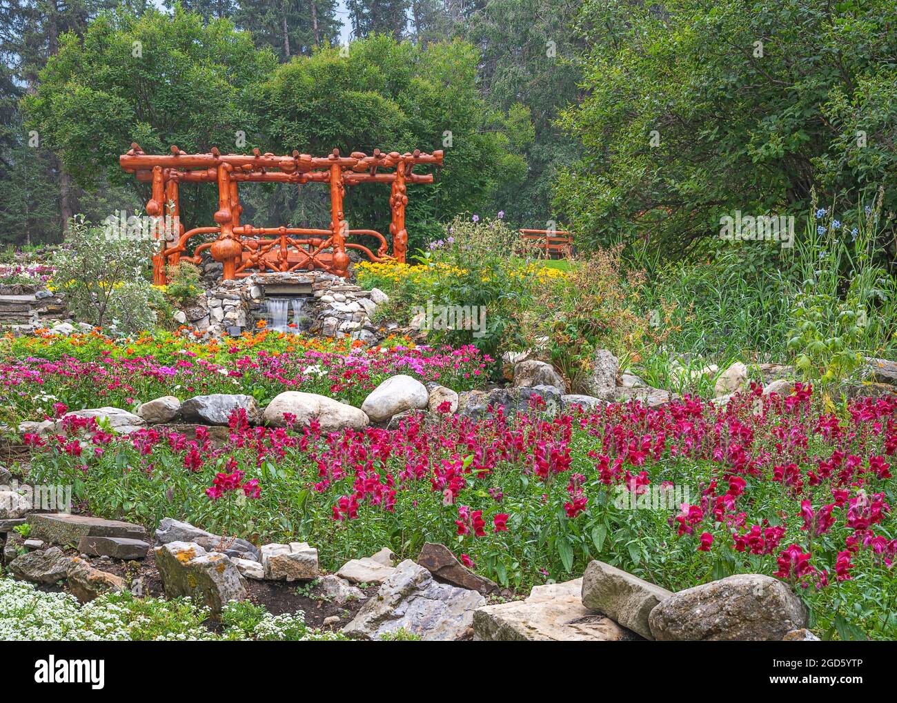 A bridge made from burled logs in Cascade public gardens in Banff, Alberta, Canada Stock Photo