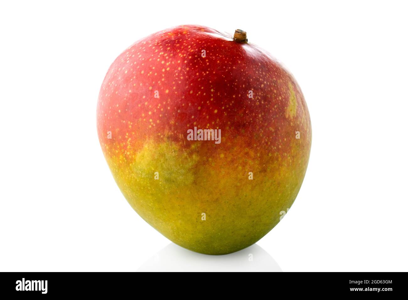 Mango. Vertical position single mango on a white background Stock Photo