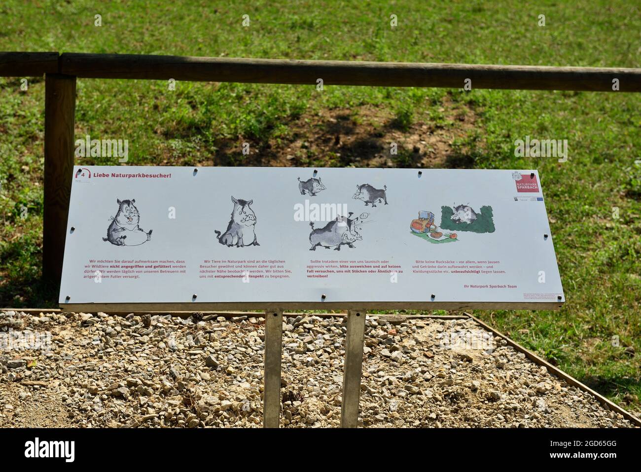 Sparbach, Lower Austria, Austria. Sparbach Nature Park. Information on free-range wild boars (Sus scrofa) Stock Photo