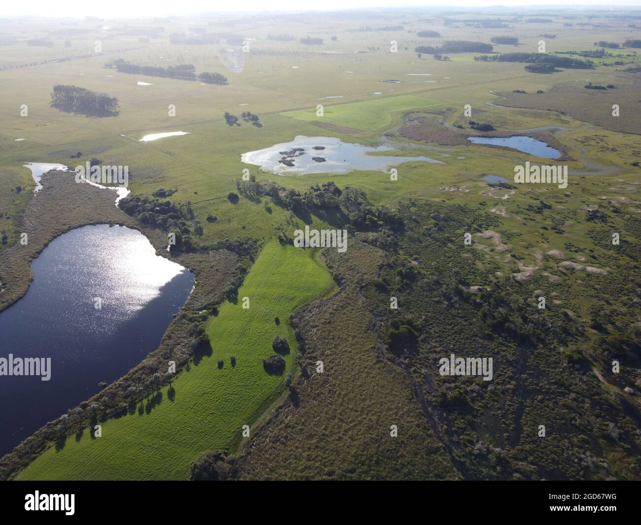 Lake from above surrounded with green fields Stock Photo - Alamy