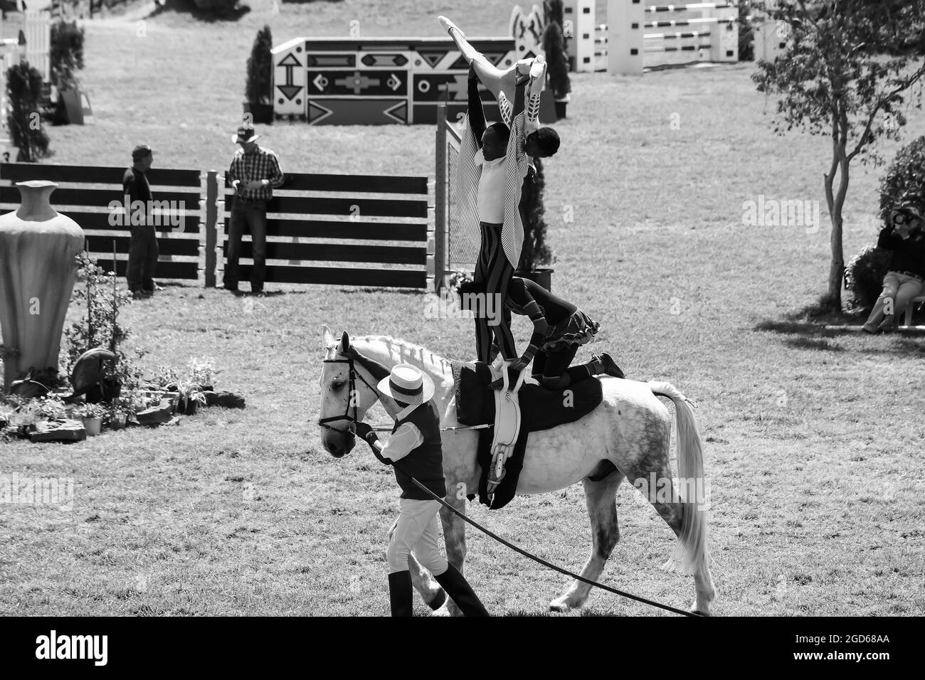 JOHANNESBURG, SOUTH AFRICA Jan 06, 2021 A grayscale of Equestrian Show and horse riding