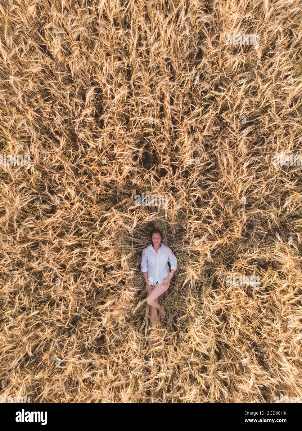 Aerial view of woman lying in the yellow field of wheat Stock Photo - Alamy