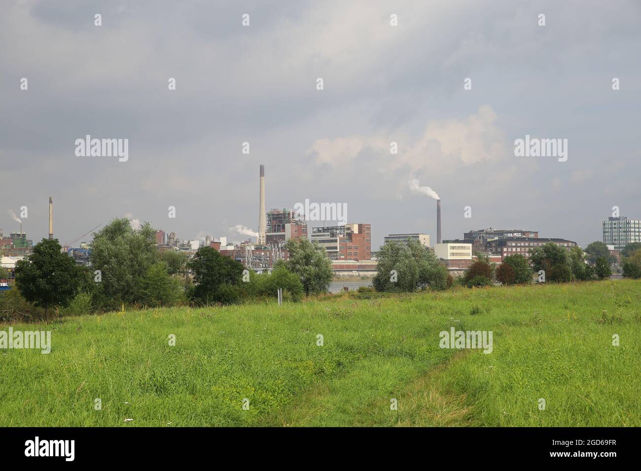 Krefeld (Uerdingen), Germany - July 9. 2021: View over green pasture and trees on river rhien with industrial area Stock Photo