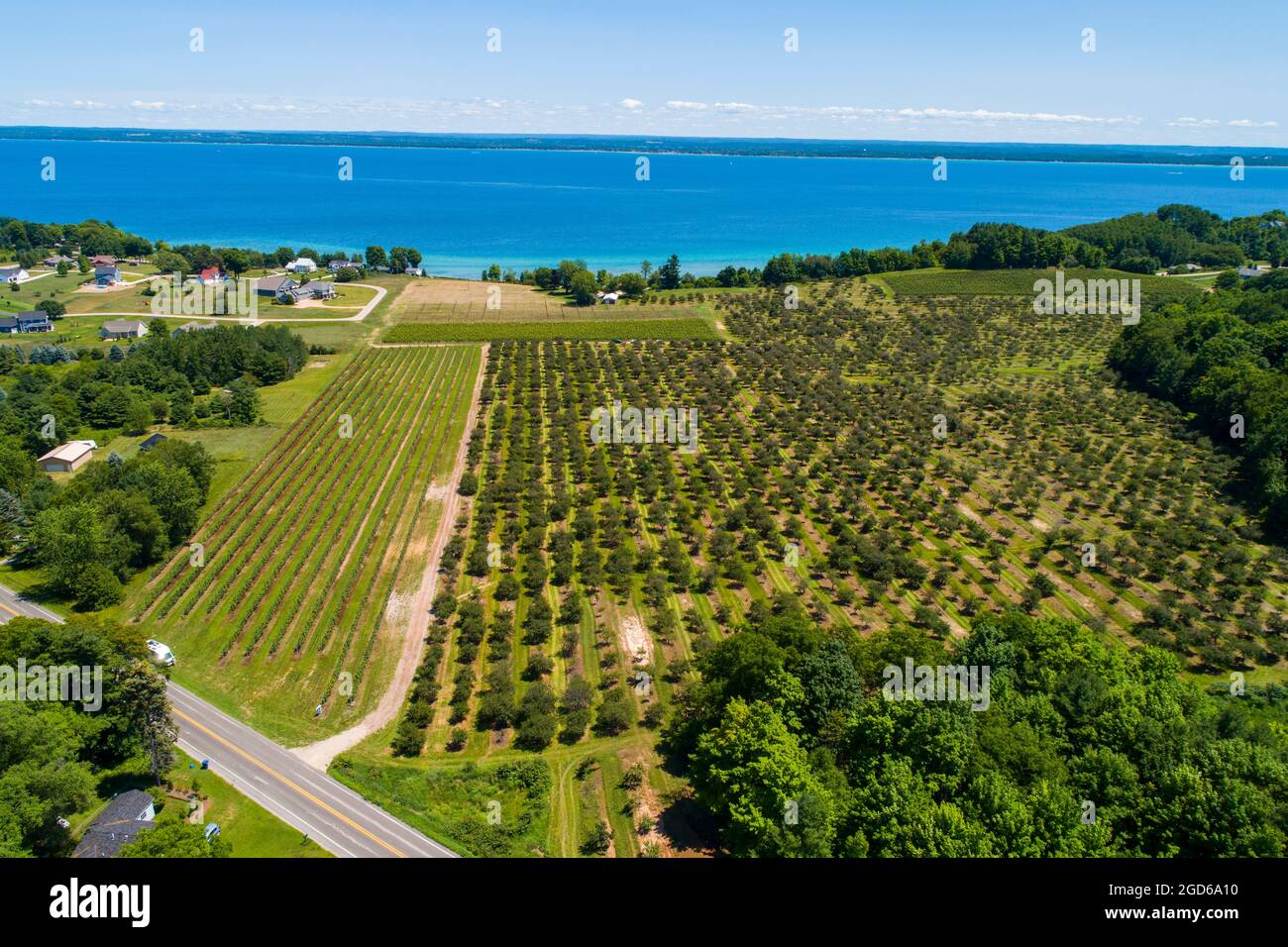 Combination Cherry orchard and grape farm on Lake MichigAN at Traverse City Michigan Stock Photo