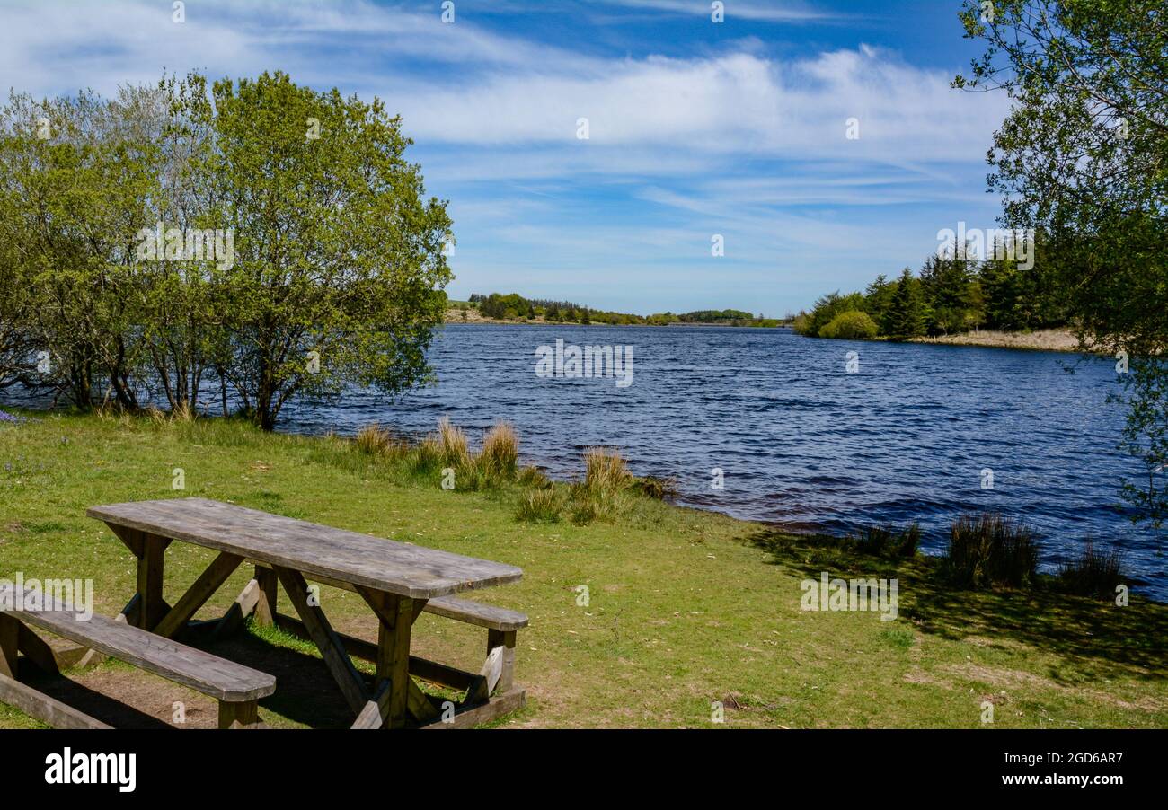 the-reservoir-within-fernworthy-forest-on-dartmoor-stock-photo-alamy