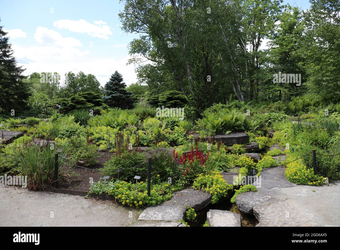 A landscaped garden filled with plants, ferns, flowers and lined with