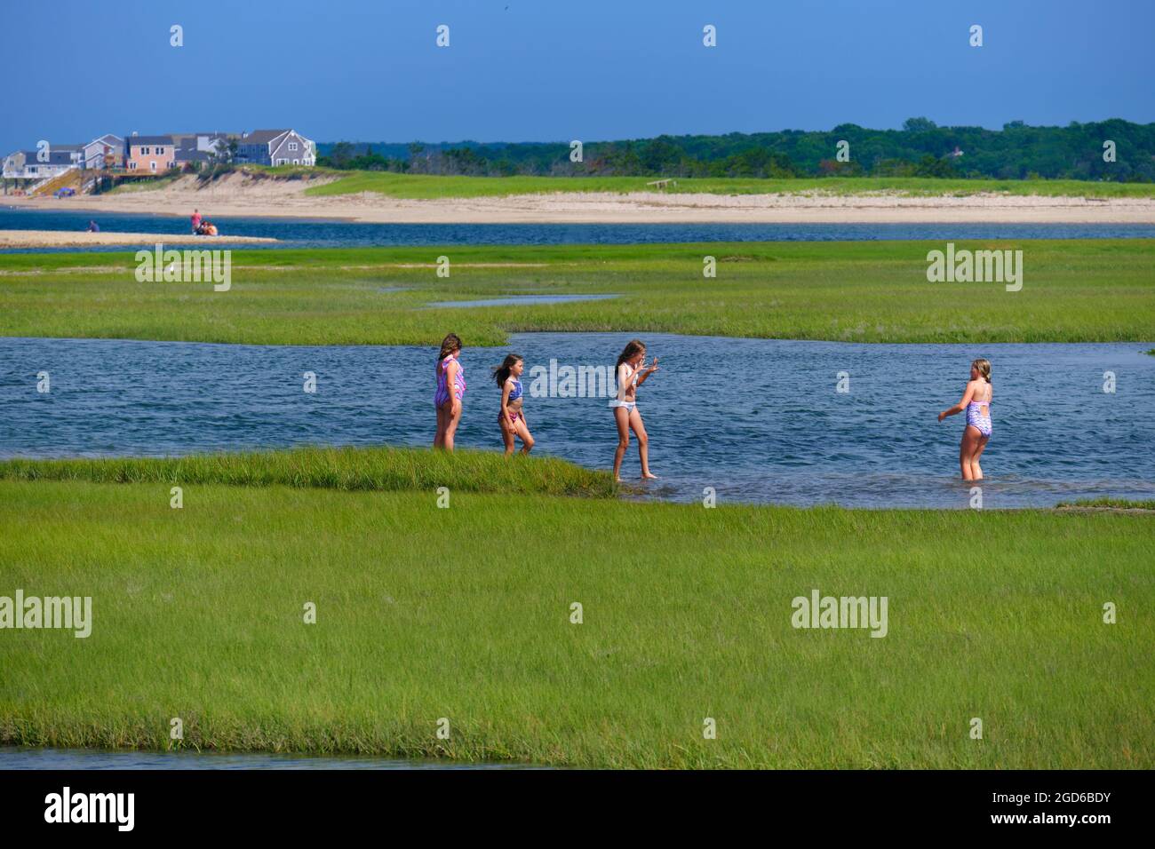 Four girls in the waters of salt marshes in Sandwich, Massachusetts