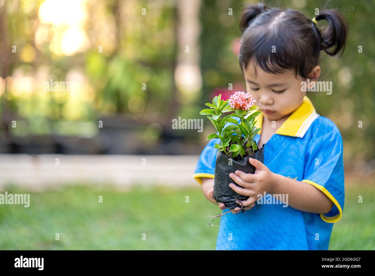 Cute Asian small girl holding a potted plant Stock Photo - Alamy