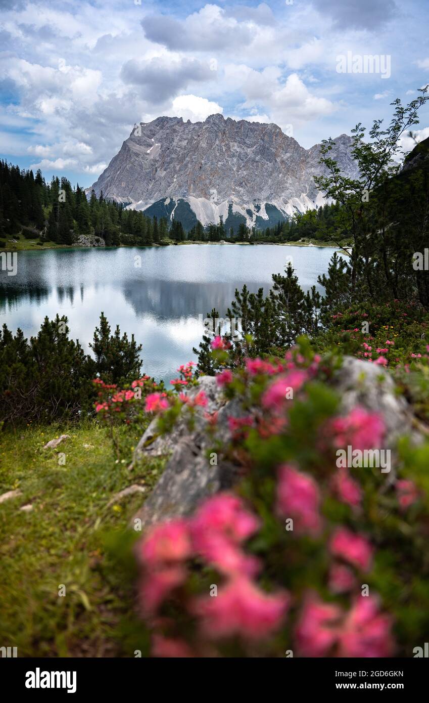 Seebensee in Ehrwald, Tyrol with the Zugspitze mountain in the ...
