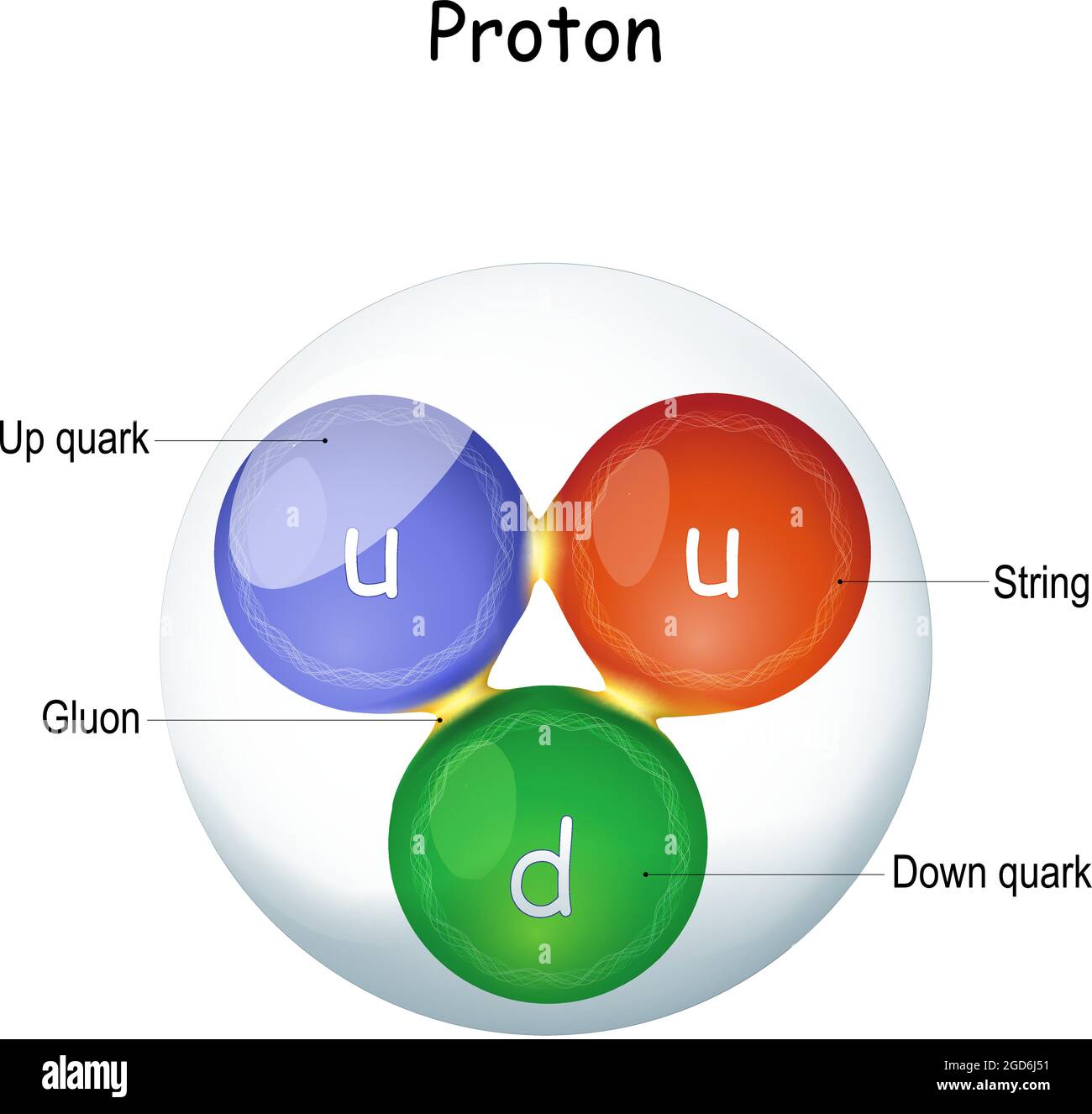Structure of a gluon. elementary particle that "glue" quarks together, forming hadrons: protons and neutrons. gauge boson. nuclear physics Stock Vector