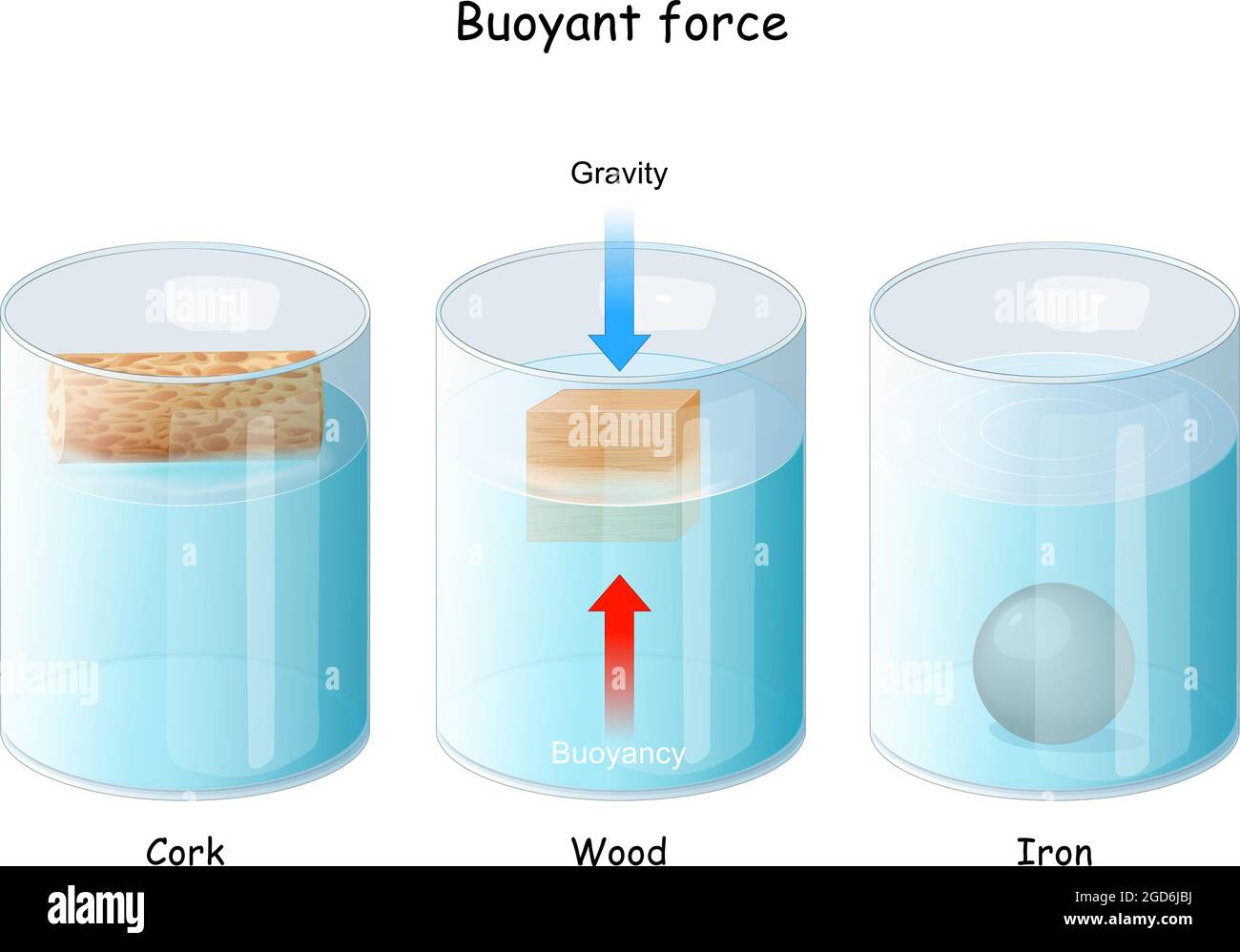 Buoyant force. Archimedes' principle. Iron ball, Wood cube, and Cork floating in glassware. physical law. Beaker with liquid fluid Stock Vector