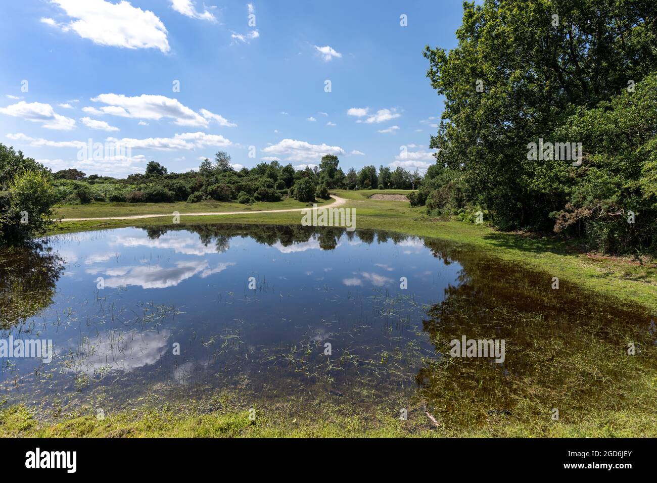 Burley Golf Club, Cott Lane, Burley, New Forest, Hampshire, England, UK -  view of the second hole with green protected with water hazard Stock Photo  - Alamy