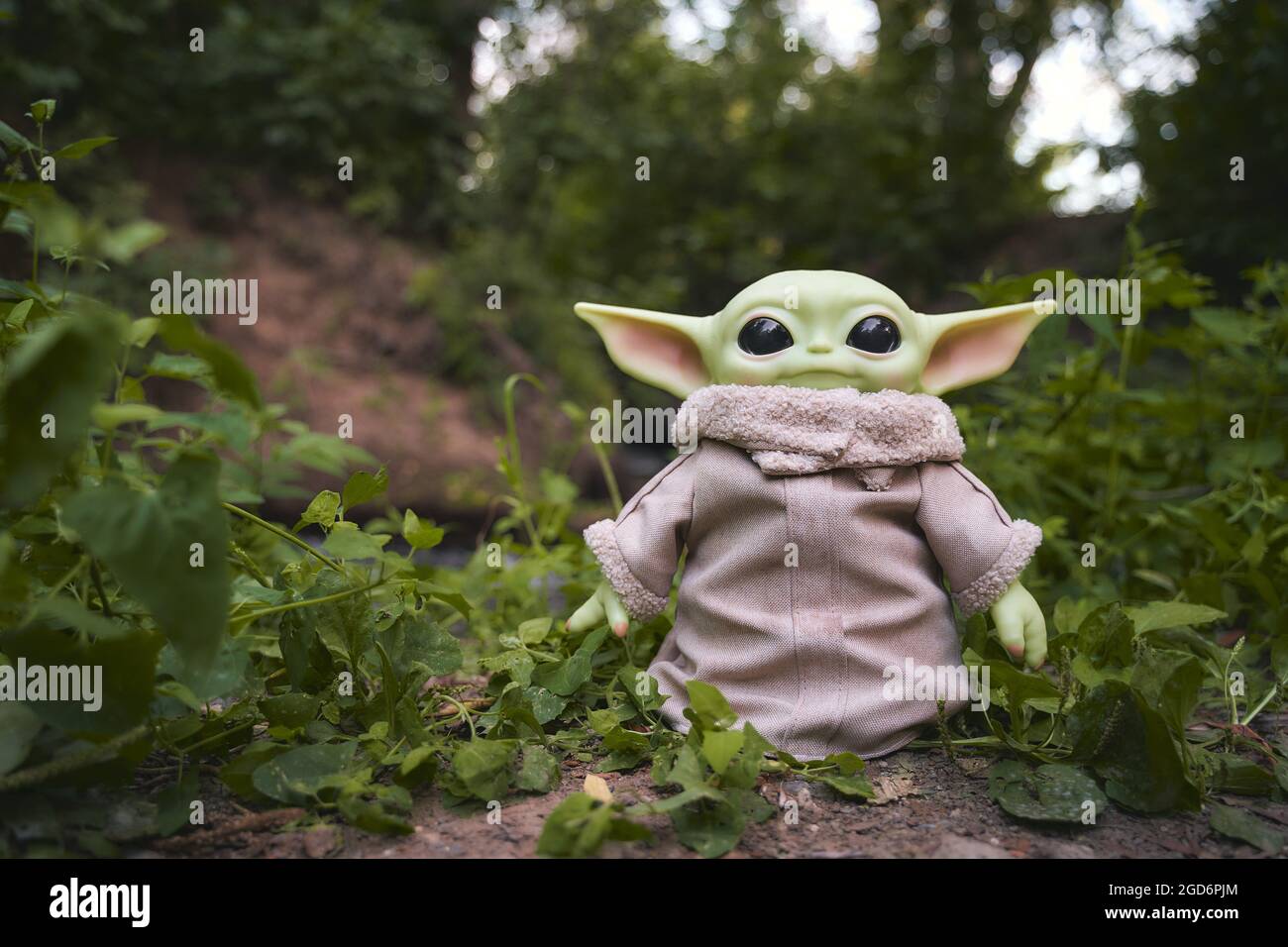 August 21 Display Of Baby Yoda An Action Figures In The Forest Star Wars Stock Photo Alamy August 21 Display Of Baby Yoda An Action Figures In The Forest Star Wars Stock Photo Alamy