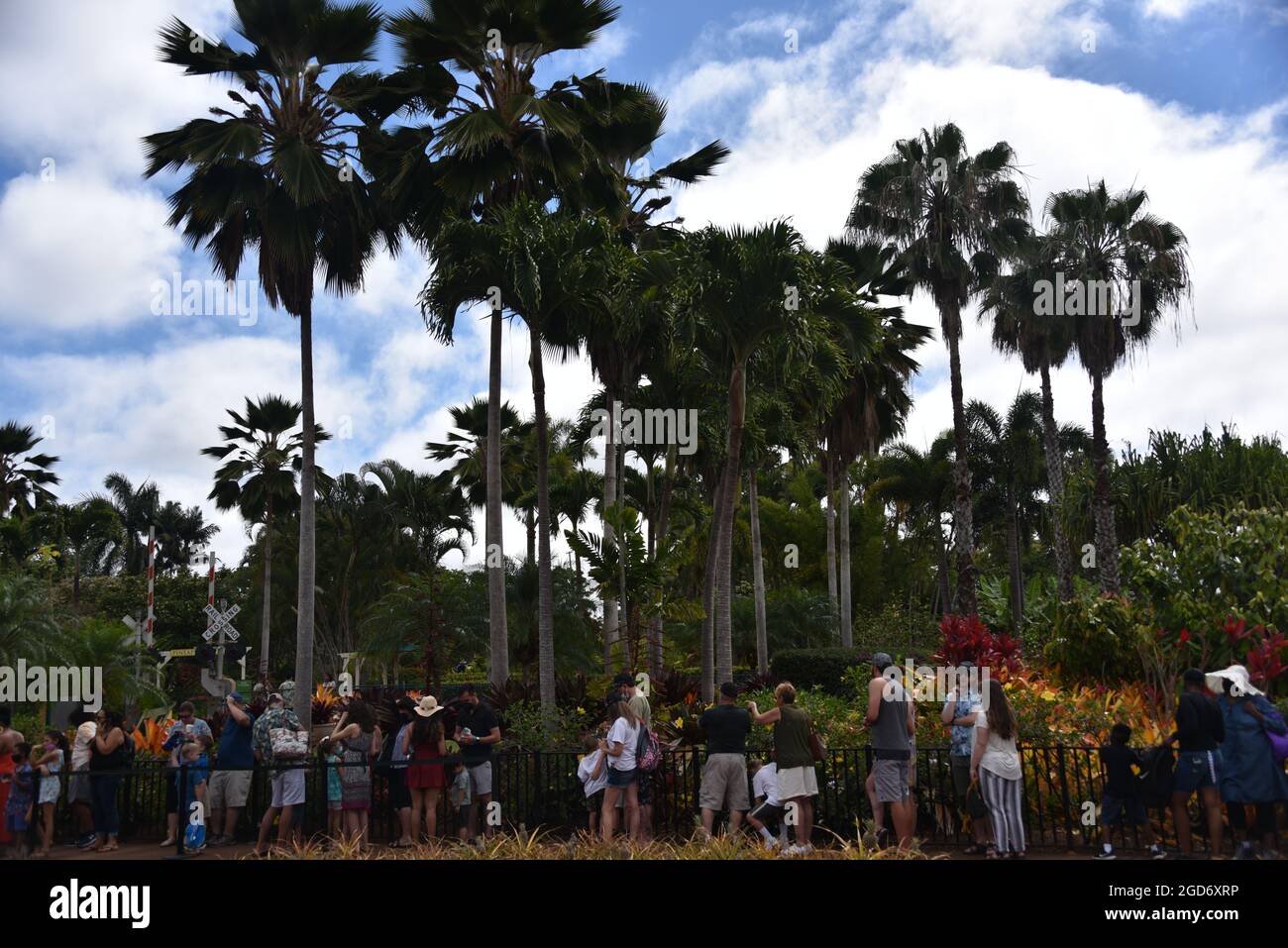 Oahu HI U.S.A. 6/3&6/2021. Dole Plantation. Gardens. Pineapple Express
