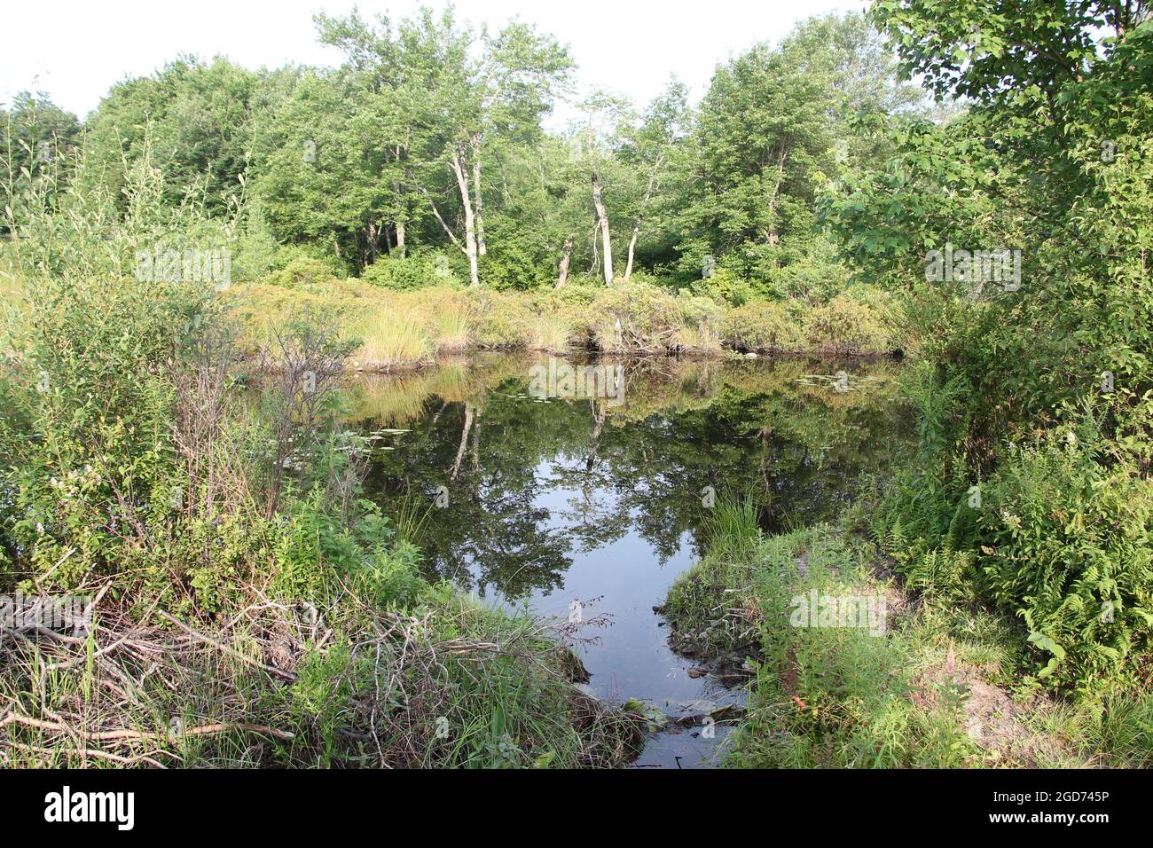 Moosic Lakes The Big Lake Pennsylvania Stock Photo Alamy