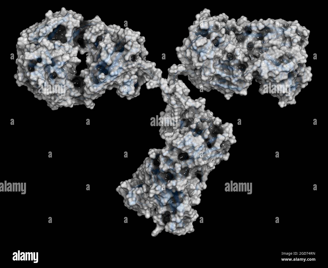 Antibody molecule molecular structure monoclonal hi-res stock ...