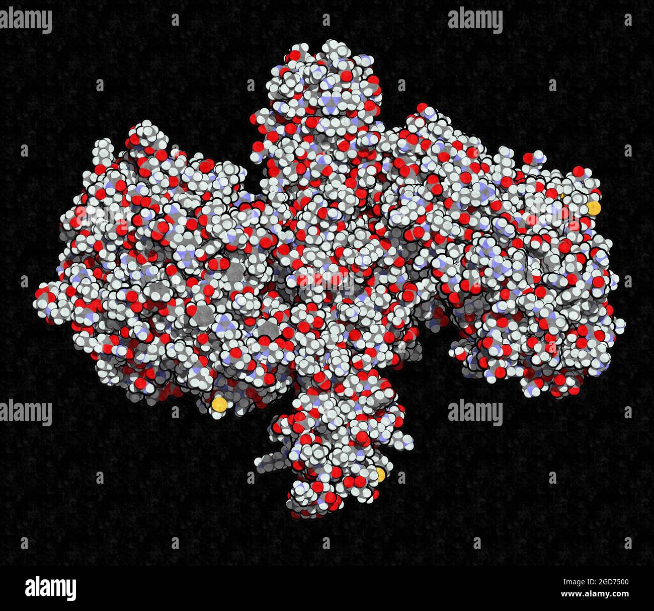 Botulinum toxin neurotoxic protein, 3D rendering. Stock Photo