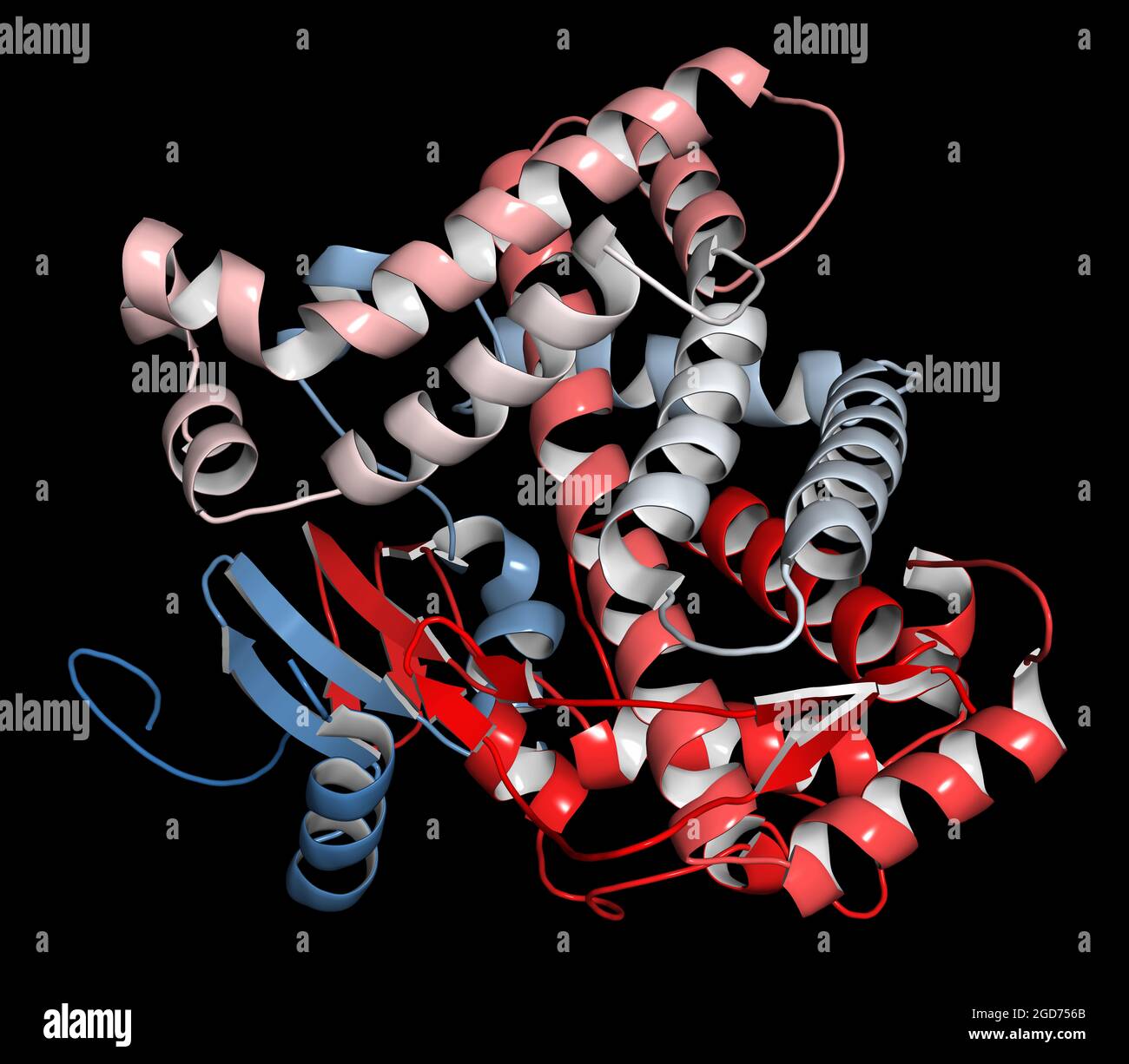 Cytochrome oxidase hires stock photography and images Alamy