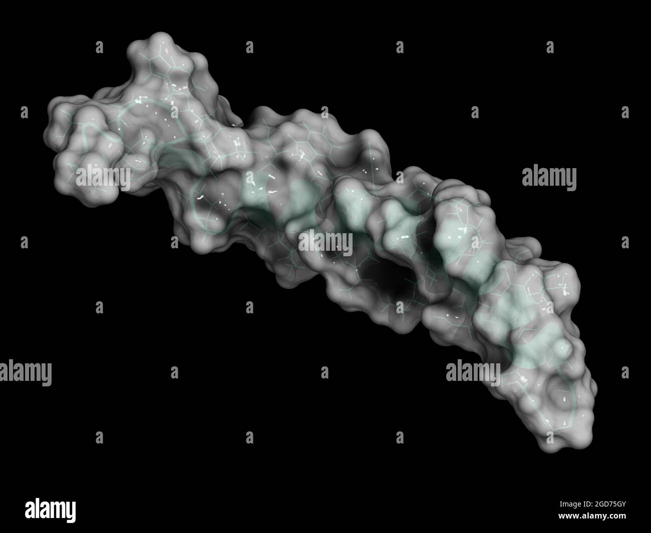 Gastric inhibitory polypeptide (GIP, glucose-dependent insulinot Stock ...
