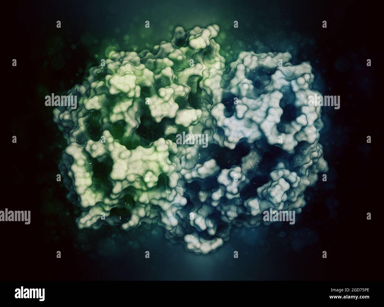 Indoleamine 2,3 dioxygenase 1 (IDO1) protein. 3D Illustration Stock ...
