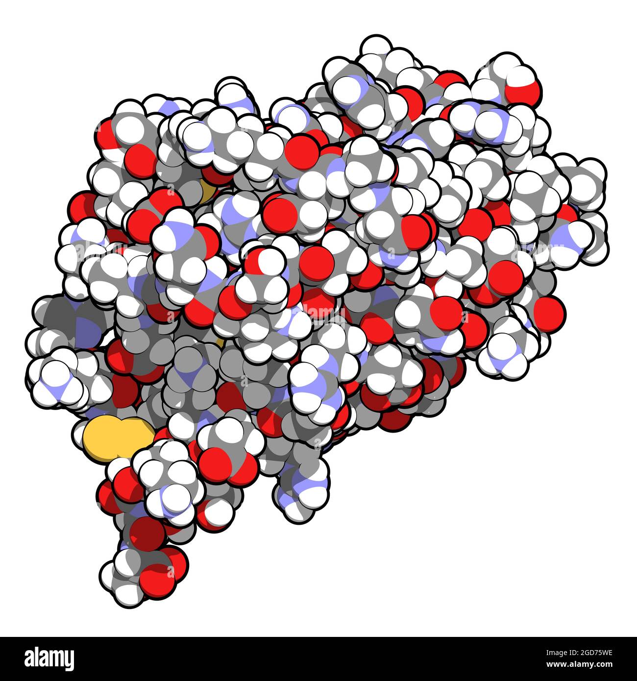 Interleukin 4 (IL-4) cytokine protein. 3D Illustration. Stock Photo