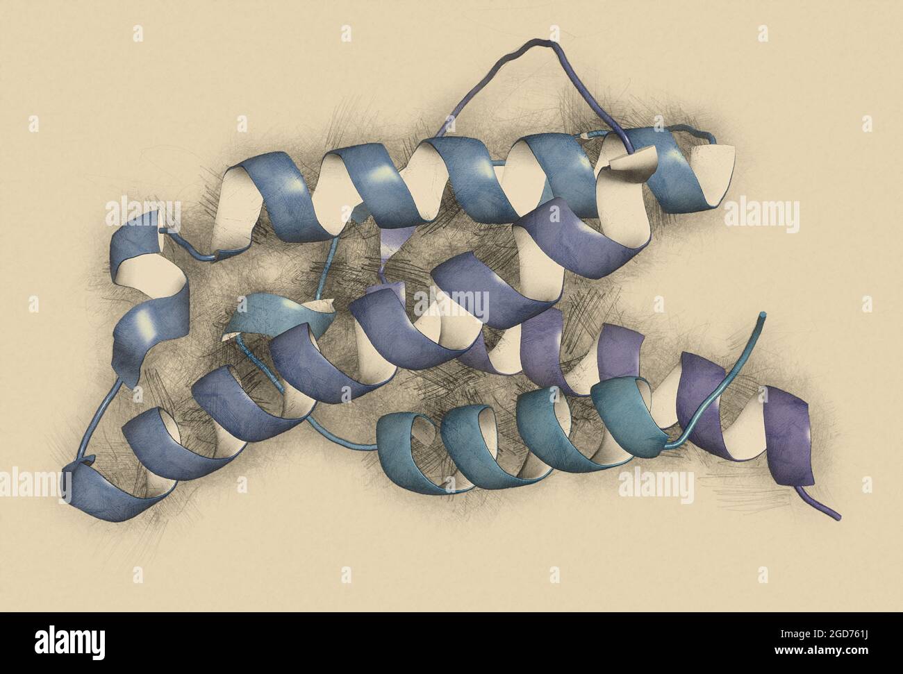 Interleukin 4 (IL-4) cytokine protein. 3D Illustration. Stock Photo