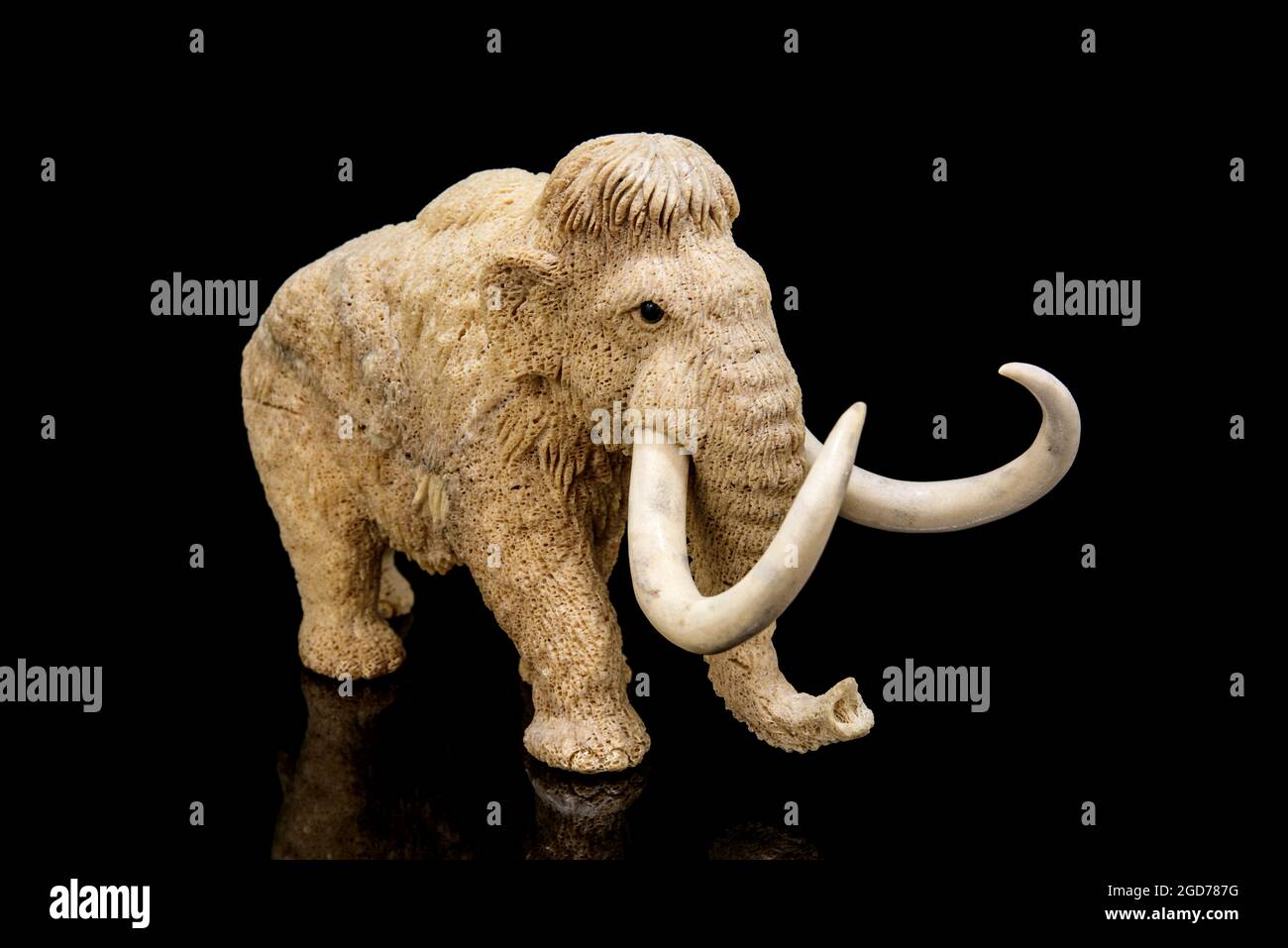 ivory statuette of elephant mammoth on black background with reflection ...