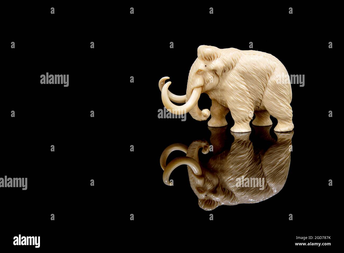 ivory statuette of elephant mammoth on black background with reflection ...